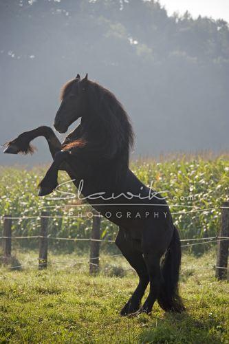 Friese_Julian_60_001.JPG